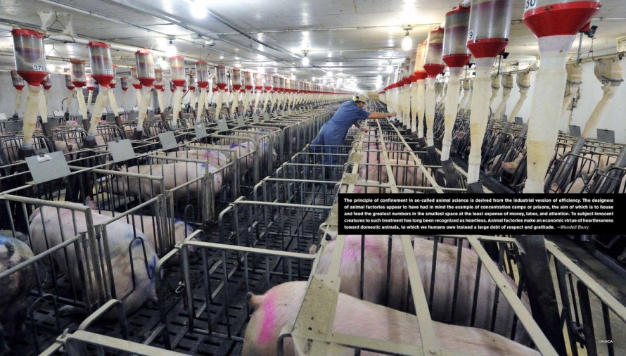 (Photo: Greg Taylor/Alamy)