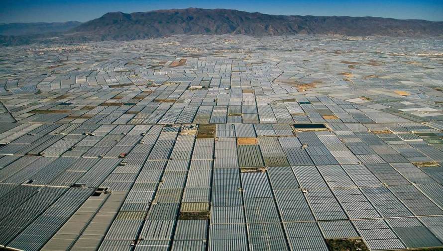 (Photo: Yann Arthurs-Bertrand)