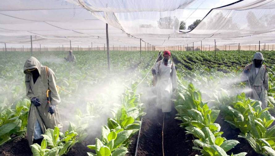 (Photo: Peter Essick)