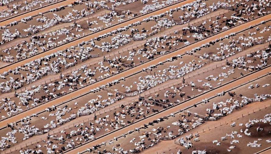 (Photo: Peter Beltra)